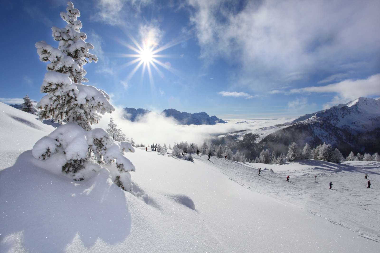 hotel salvadori val di sole informazioni